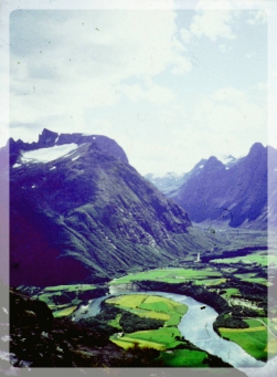 image-1